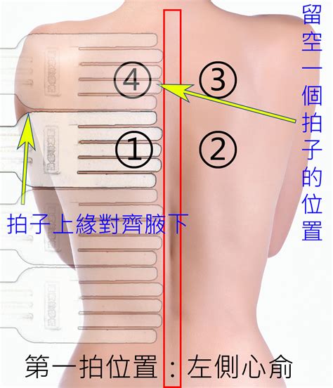 背位|後背體位